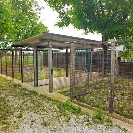 Casa Veronika * Arcade